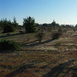 Parcela en venta en Pichilemu — foto 12 de 12