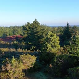 Parcela en venta en Pichilemu — foto 8 de 12