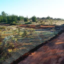 Parcela en venta en Pichilemu — foto 11 de 12
