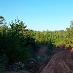 Parcela en venta en Pichilemu — foto 6 de 12